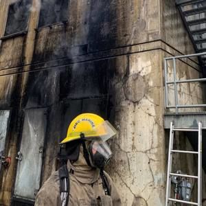 Meet your Posher, Dylan